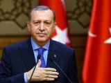 Erdoğan'a tam sayfa ilanla 'milli ağaç' çağrısı